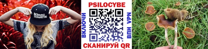 магазин продажи наркотиков  Анадырь  Псилоцибиновые грибы Magic Shrooms 